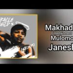 Makhadzi Entertainment - Mulomo (Official Audio) feat. Janesh