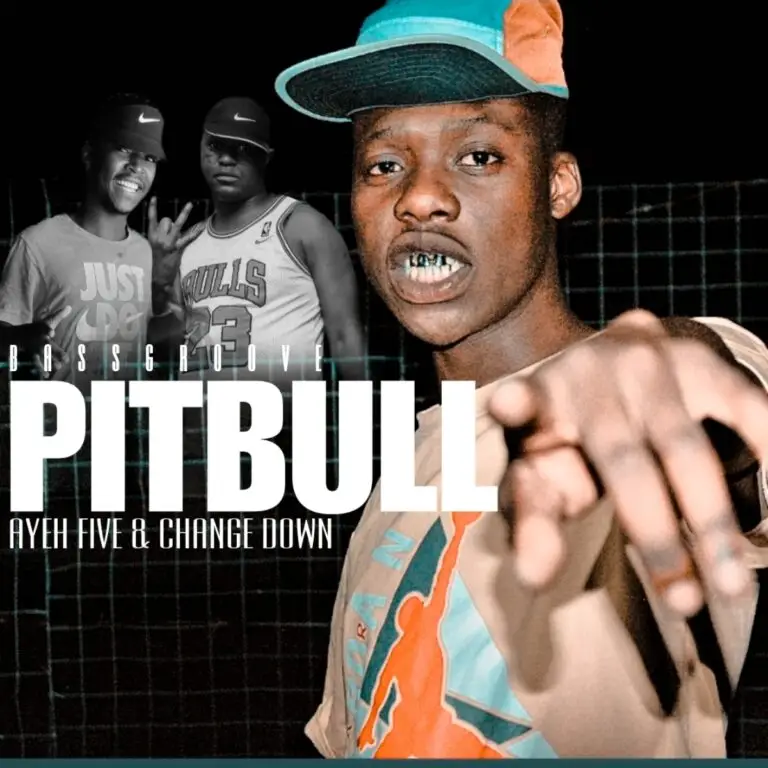 Pitbull ft Ayee Five & Change Down mp3 download